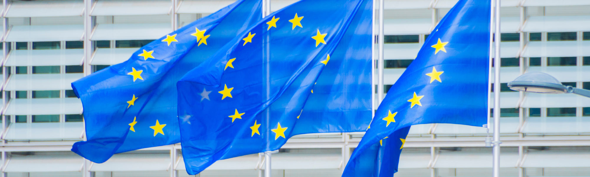 Public consultation of the Strategic Research and Innovation Agenda (SRIA) of the future European Partnership for Pandemic Preparedness