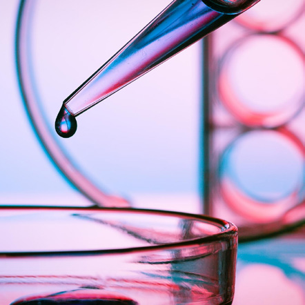 Image of a laboratory sample