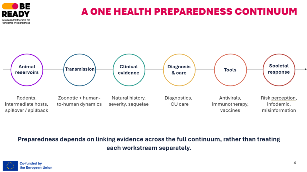 Infographic illustrating the 'One Health Preparedness Continuum,' featuring six sequential research workstreams connected by a horizontal line: 1) Animal reservoirs (rodents, host dynamics), 2) Transmission (zoonotic and human-to-human dynamics), 3) Clinical evidence (natural history, severity), 4) Diagnosis & care (diagnostics, ICU care), 5) Tools (antivirals, vaccines), and 6) Societal response (risk perception, infodemic management). A supporting text beneath states: 'Preparedness depends on linking evidence across the full continuum, rather than treating each workstream separately.