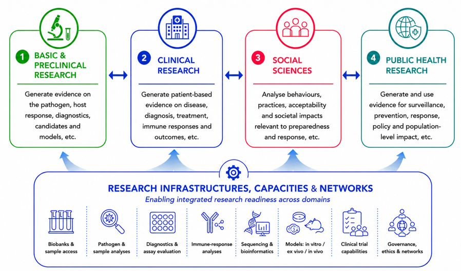 Diagram of the BE READY integrated research readiness framework. The upper section shows four core research domains: 1) Basic & Preclinical Research, 2) Clinical Research, 3) Social Sciences, and 4) Public Health Research. The lower section details the cross-cutting 'Research Infrastructures, Capacities & Networks' that enable and support these domains, including biobanks, pathogen analysis, diagnostics, immune-response analysis, sequencing and bioinformatics, laboratory models, clinical trial capabilities, and governance/ethics frameworks.