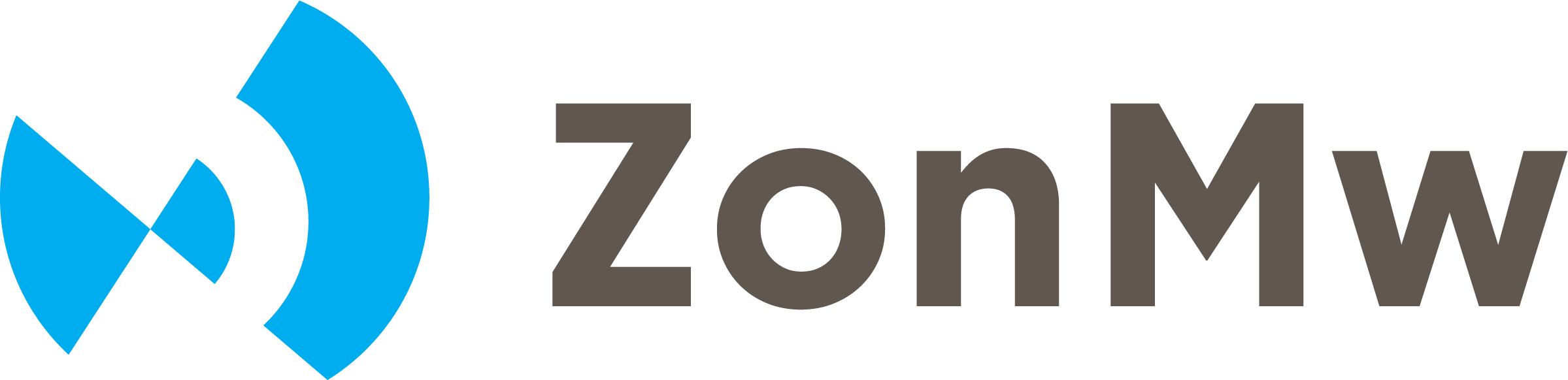 Logo LNS