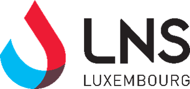 Logo LNS